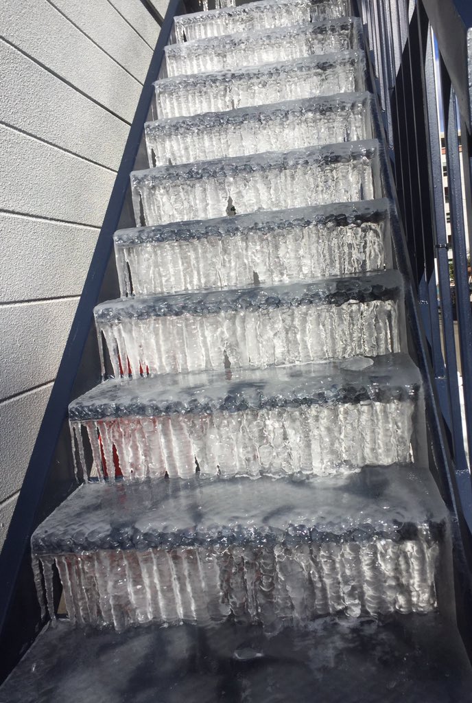 圖片來源: oMd_yrkbt/twitter