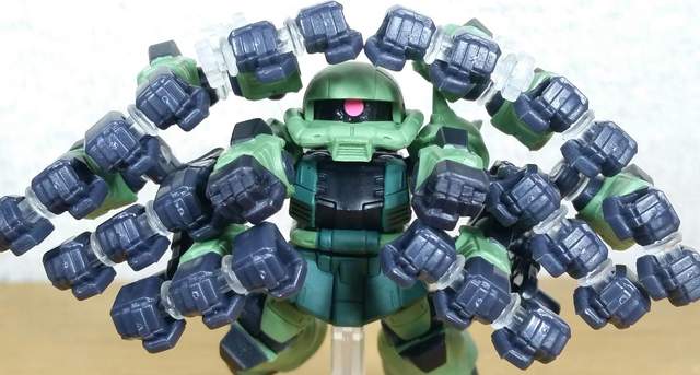 圖片來源:the wonder