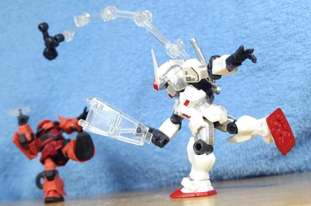 圖片來源:the wonder