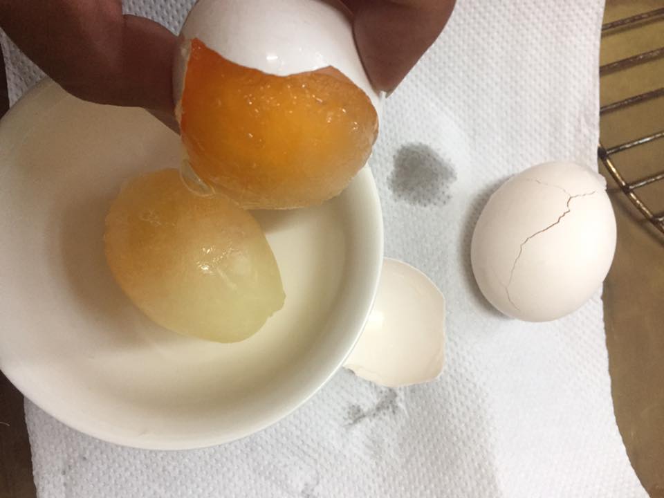 圖片來源：陳冠宇／爆廢公社