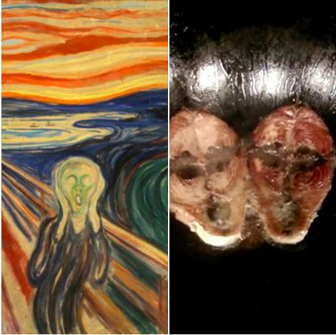 圖片來源：李建民／Facebook