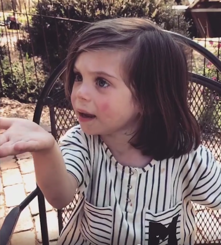 圖片來源:CatersTV