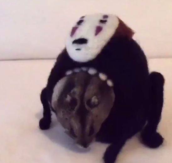 圖片來源:yutako55/twitter