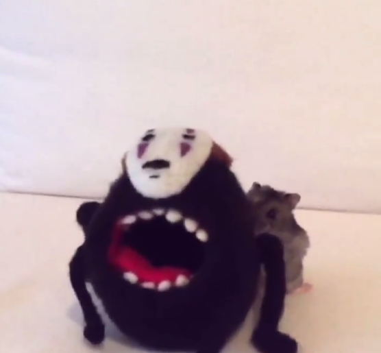 圖片來源:yutako55/twitter