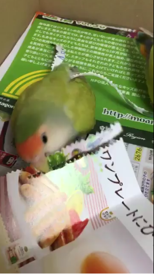 圖片來源:rin_kekyo/twitter