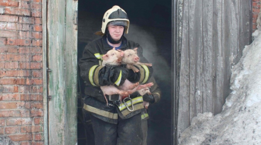 圖片來源:Ministry of Emergency Situations