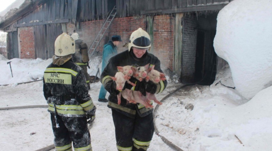 圖片來源:Ministry of Emergency Situations