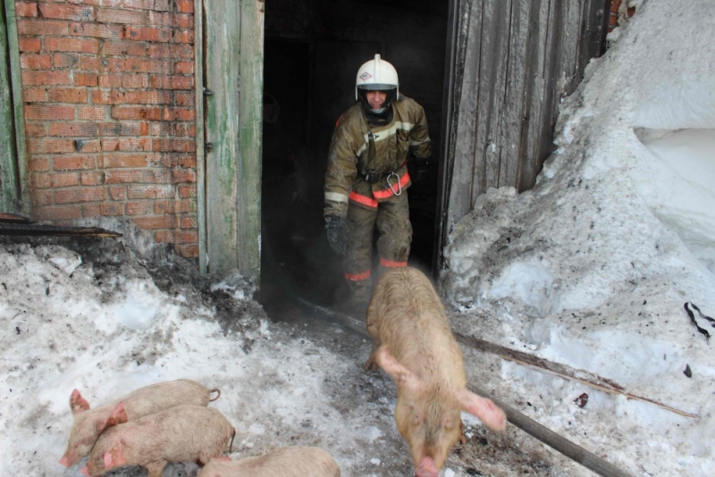 圖片來源:Ministry of Emergency Situations