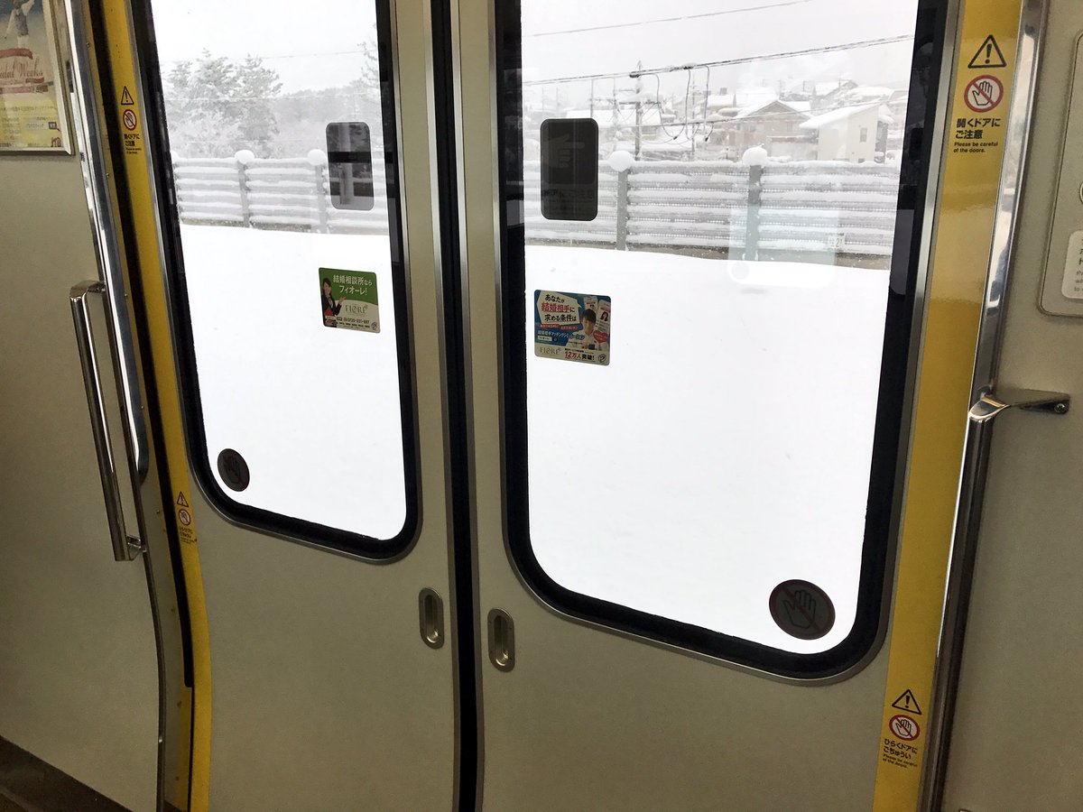 圖片來源:shinkametaro/twitter