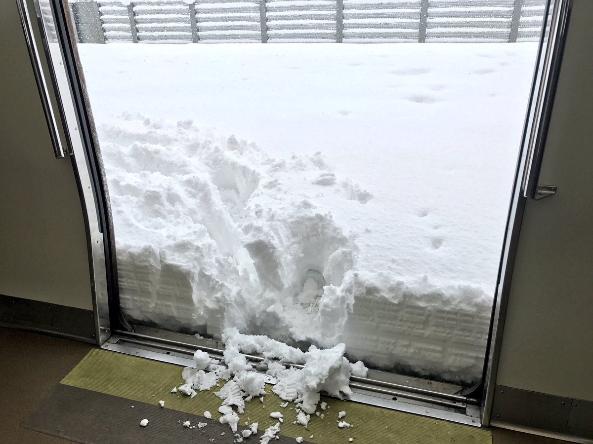 圖片來源:shinkametaro/twitter