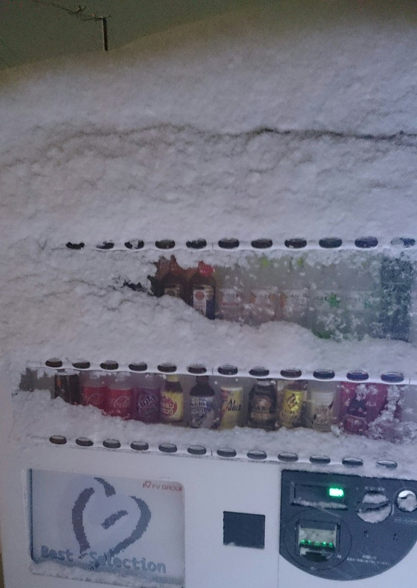 圖片來源:pon0737/twitter