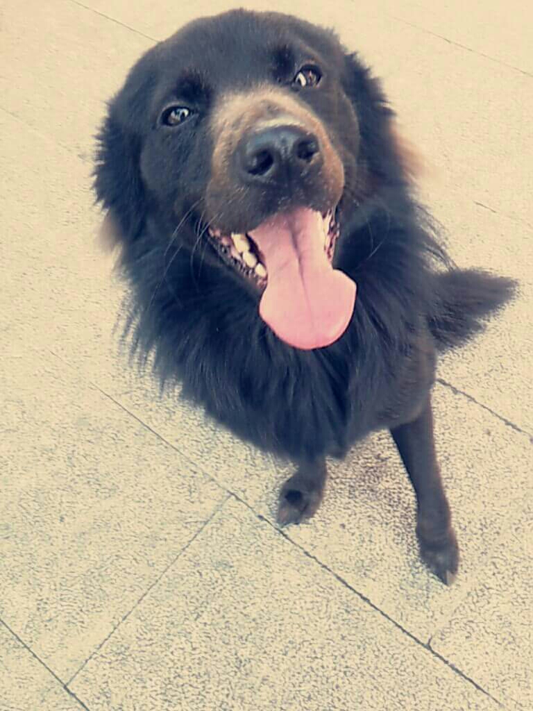 圖片來源:littlerivia/ptt