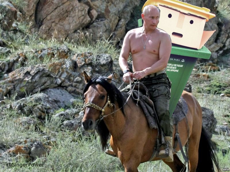 圖片來源： twitter