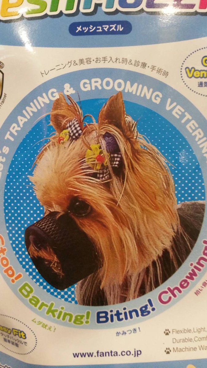 圖片來源:i_am_koni_/twitter