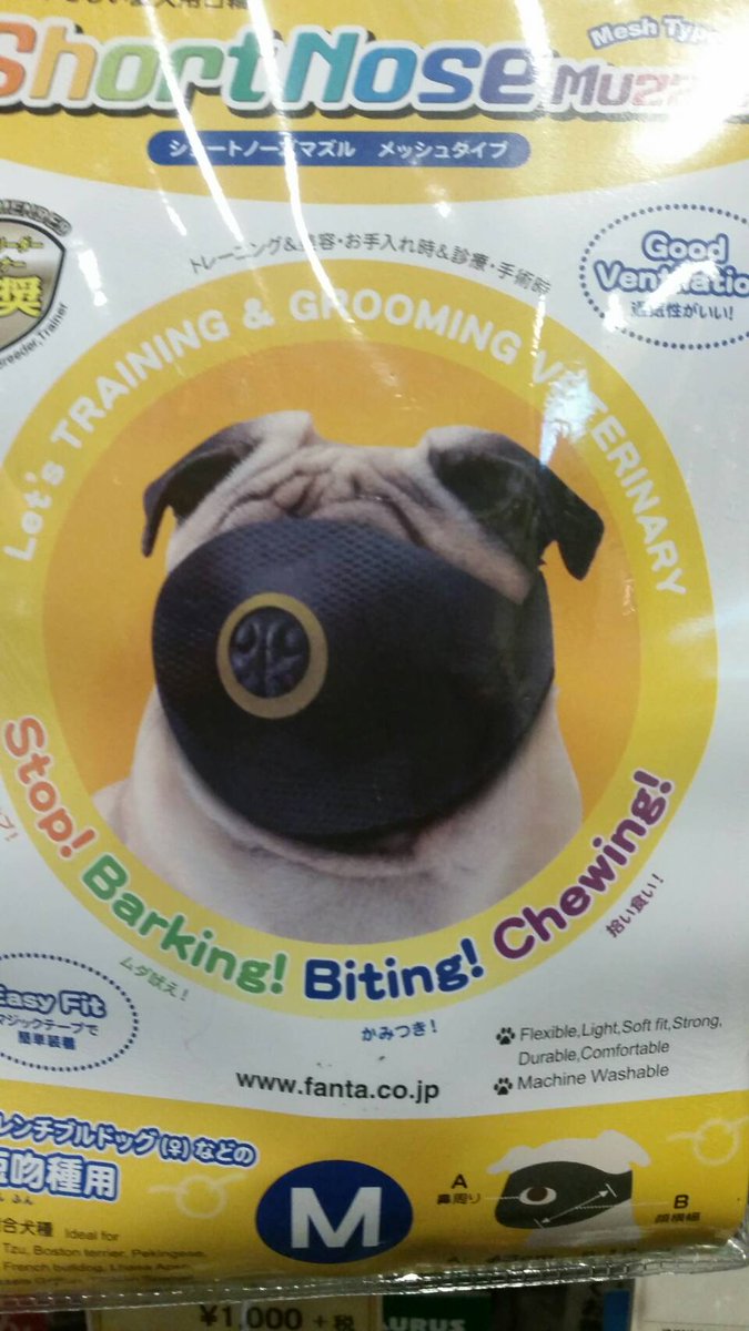 圖片來源:i_am_koni_/twitter