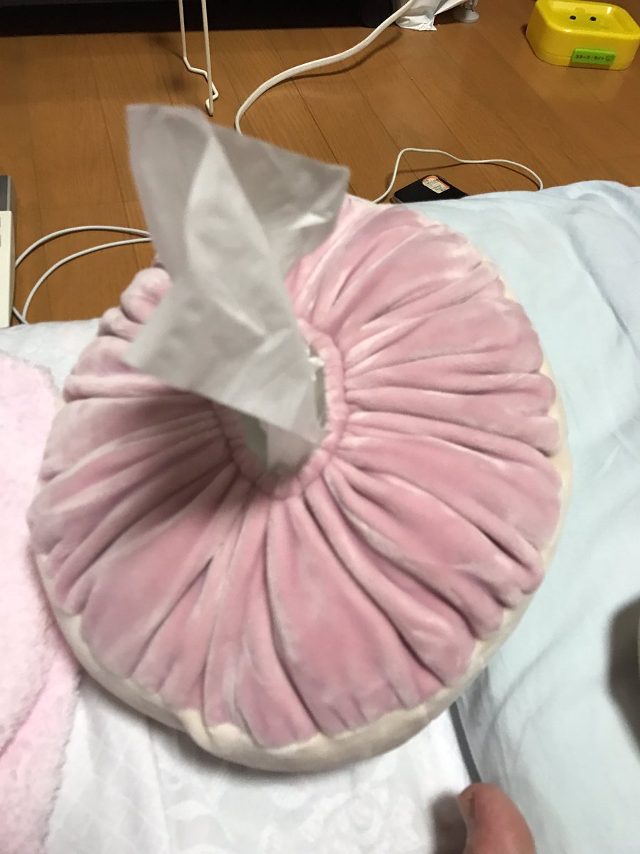 圖片來源：mokeibeya／twitter