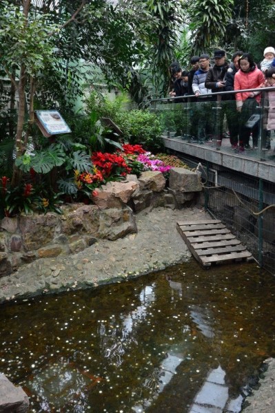 圖片來源：搜狐 