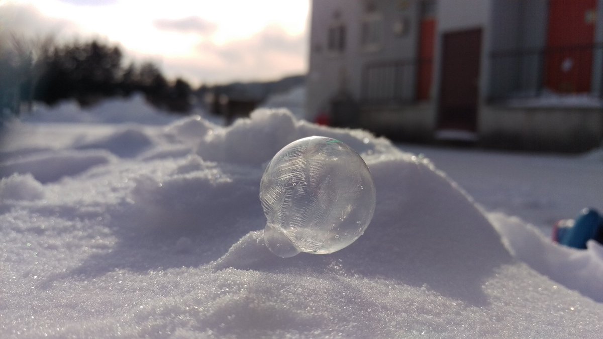 圖片來源： shimukappi／twitter