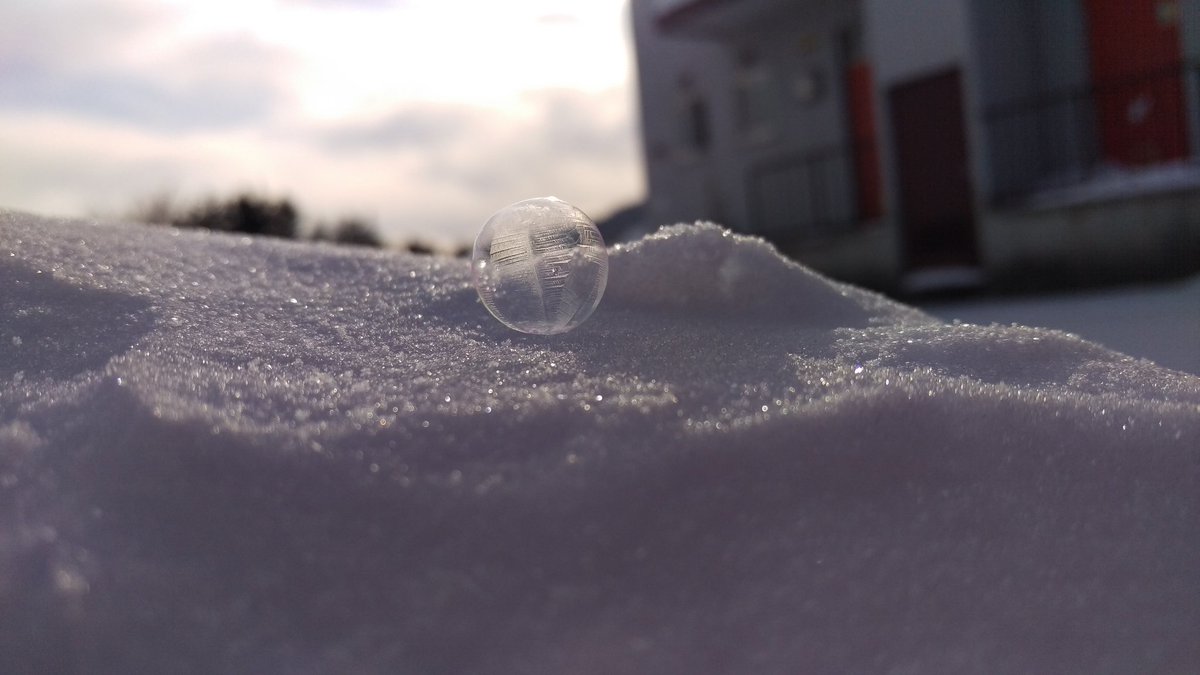 圖片來源： shimukappi／twitter