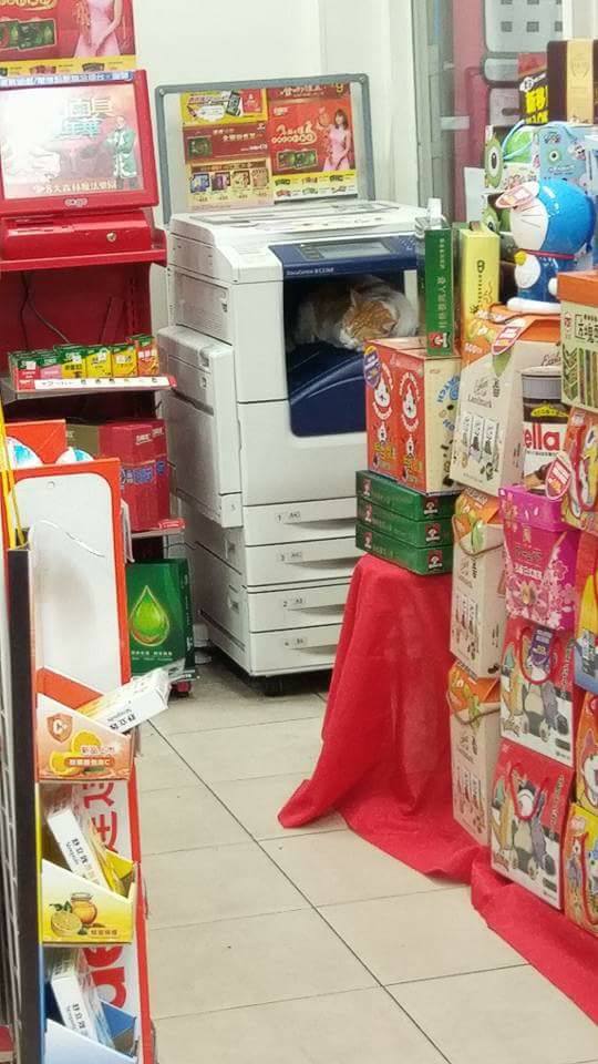 圖片來源：爆料公社