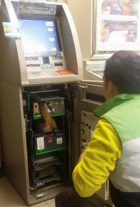 圖片來源：爆料公社