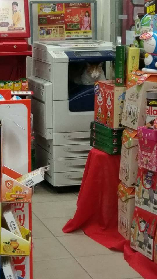 圖片來源：爆料公社