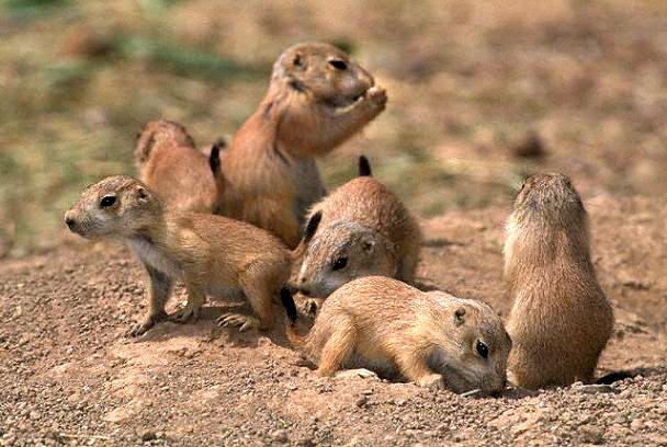 圖片來源: herpera