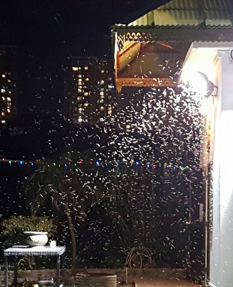 讀者來圖:錢雪兒