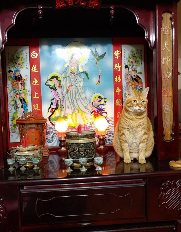 圖片來源:廖奕安