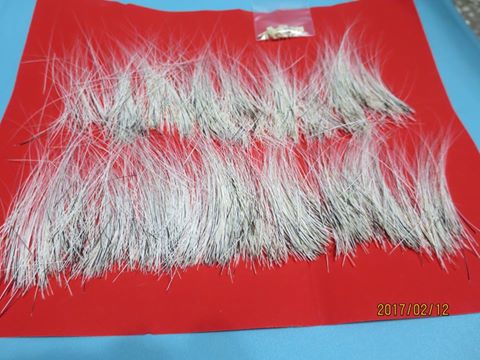 感謝網民楊雅筑同意轉載