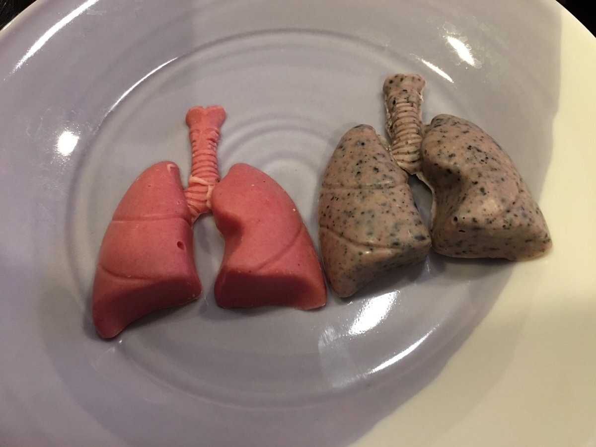 圖片來源:kaya_usagi/twitter