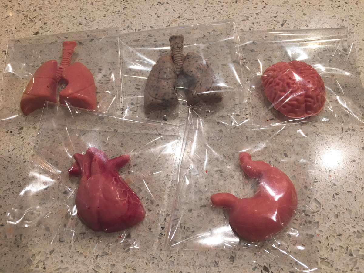 圖片來源:kaya_usagi/twitter