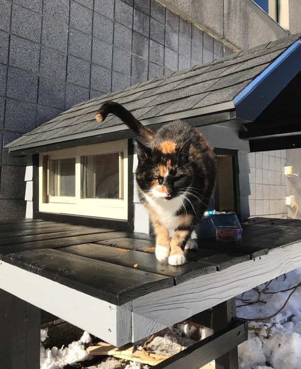 圖片來源：Boston Police Department