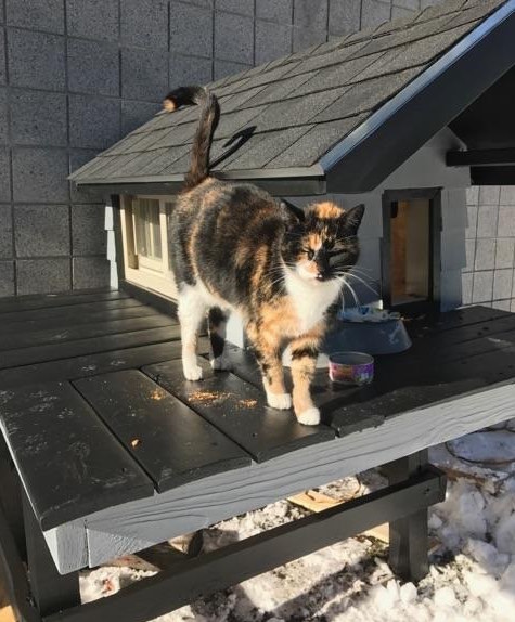 圖片來源：Boston Police Department