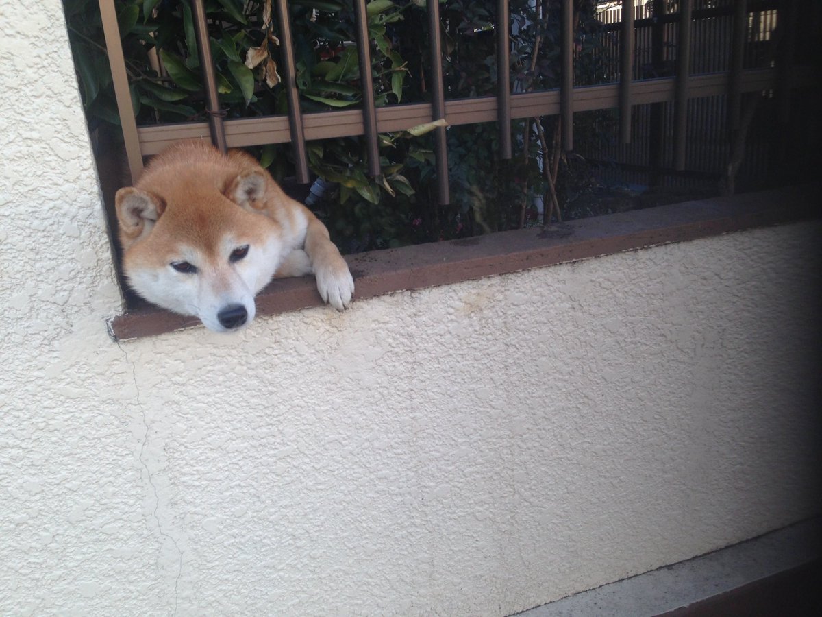 圖片來源：tdmt16en／twitter