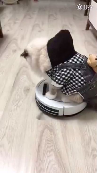 圖片來源:大鍋只是喝醉/微博