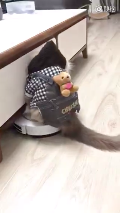 圖片來源:大鍋只是喝醉/微博