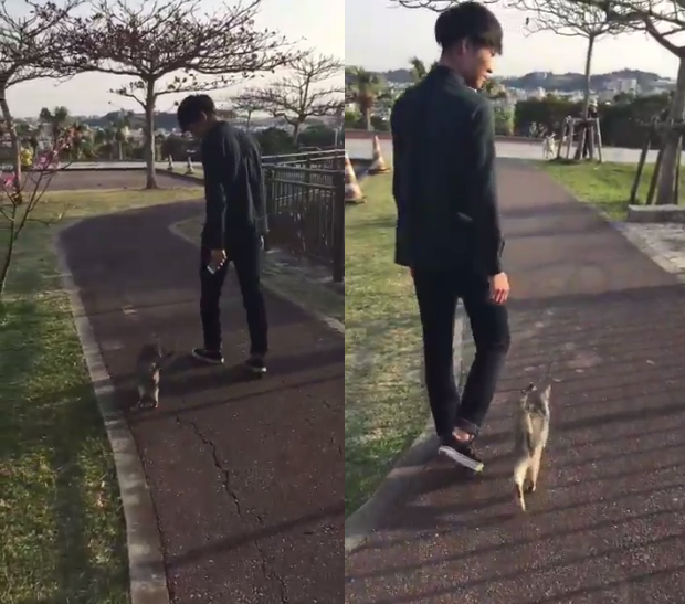 圖片來源：Hi_brother23／twitter