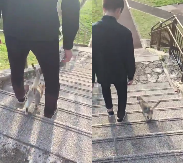 圖片來源：Hi_brother23／twitter