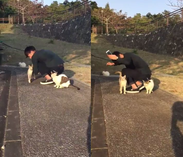 圖片來源：Hi_brother23／twitter