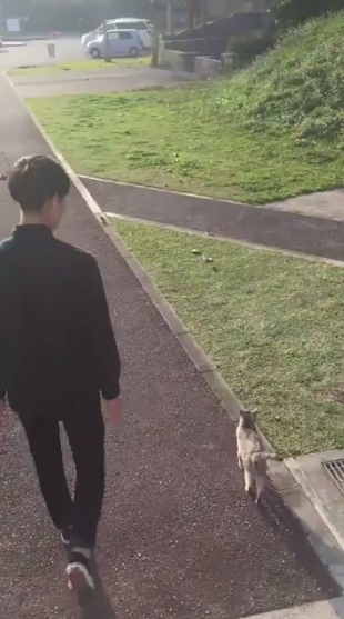 圖片來源：Hi_brother23／twitter