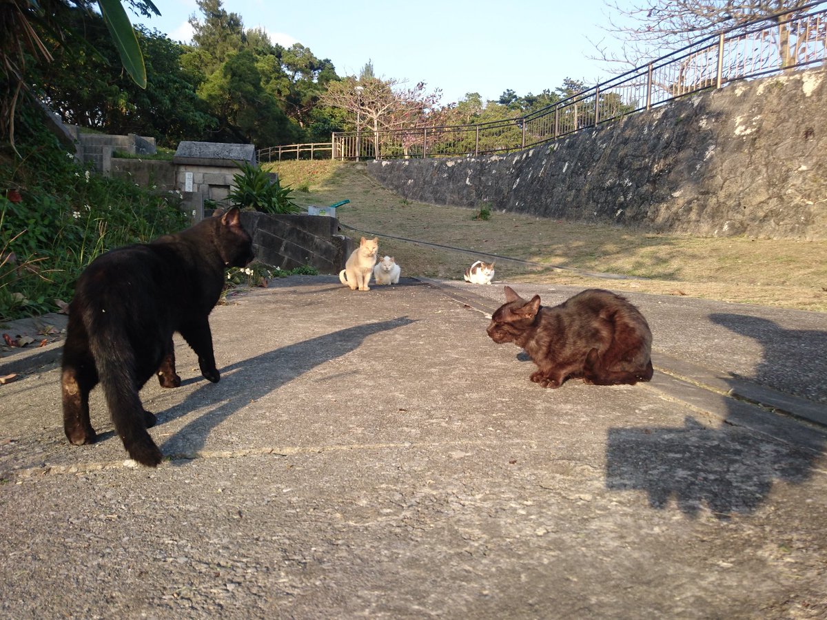 圖片來源：Hi_brother23／twitter