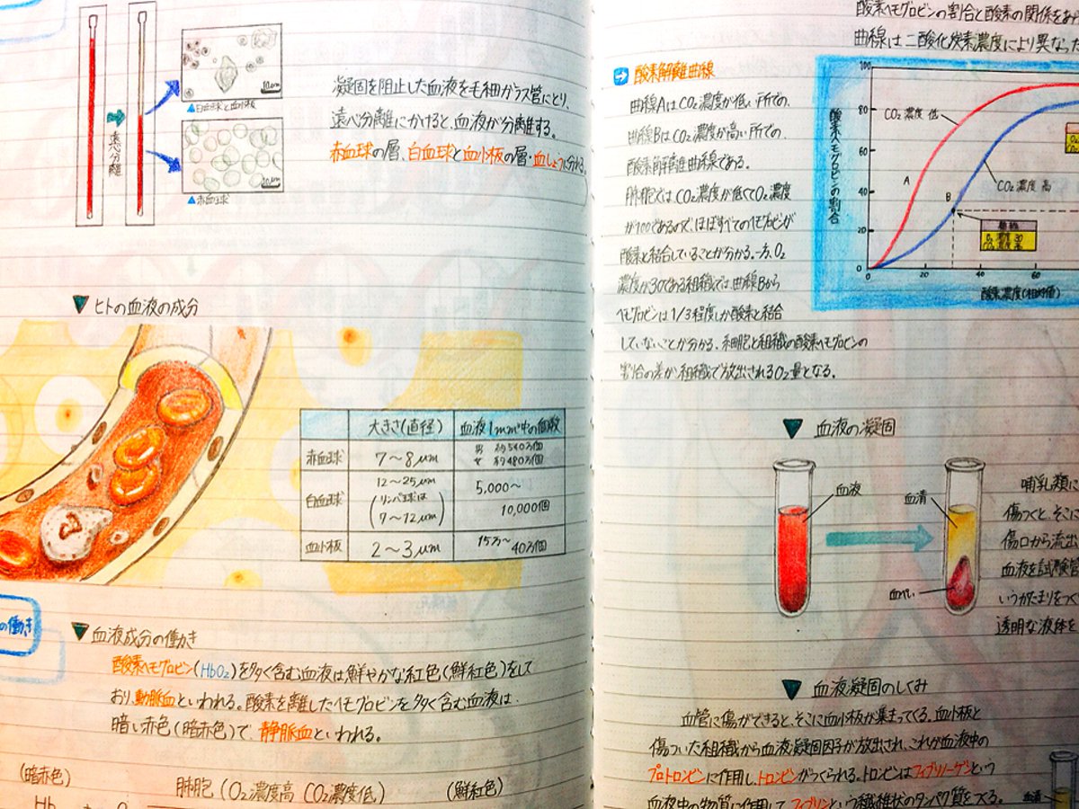 圖片來源：Oshima_Bro／twitter