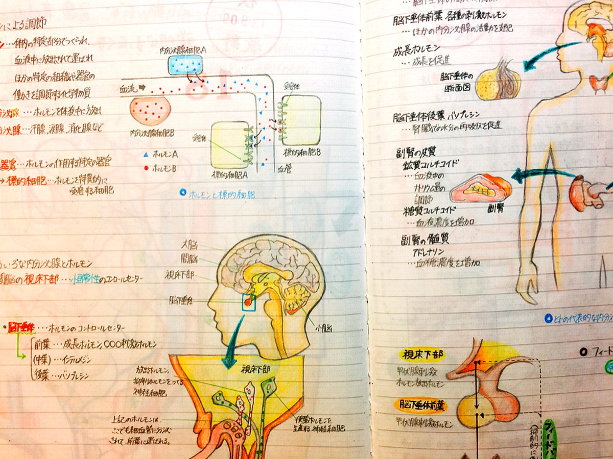 圖片來源：Oshima_Bro／twitter