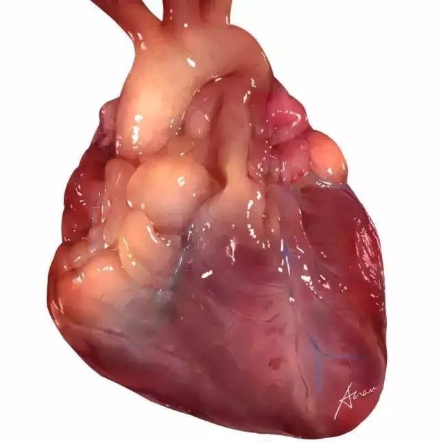 圖片來源:都市快報