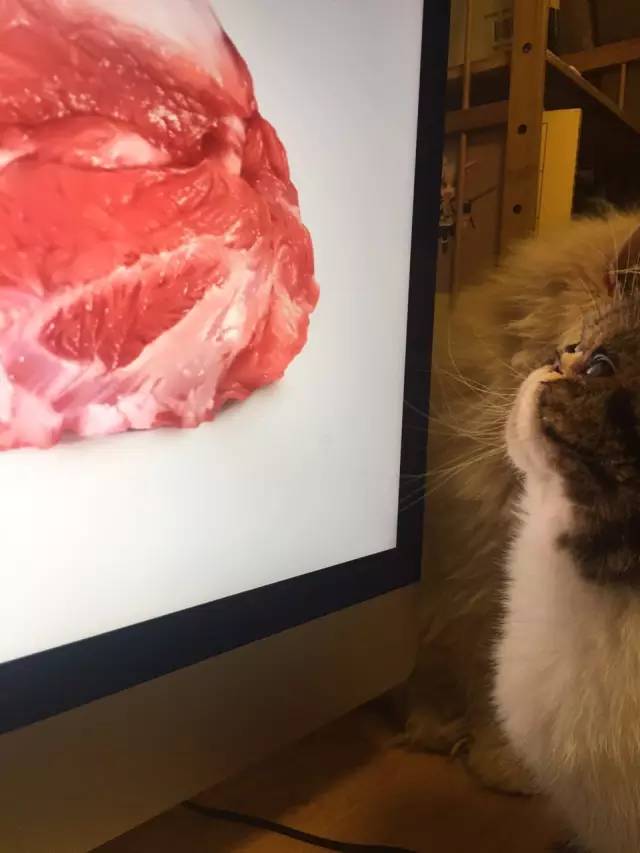 圖片來源:都市快報