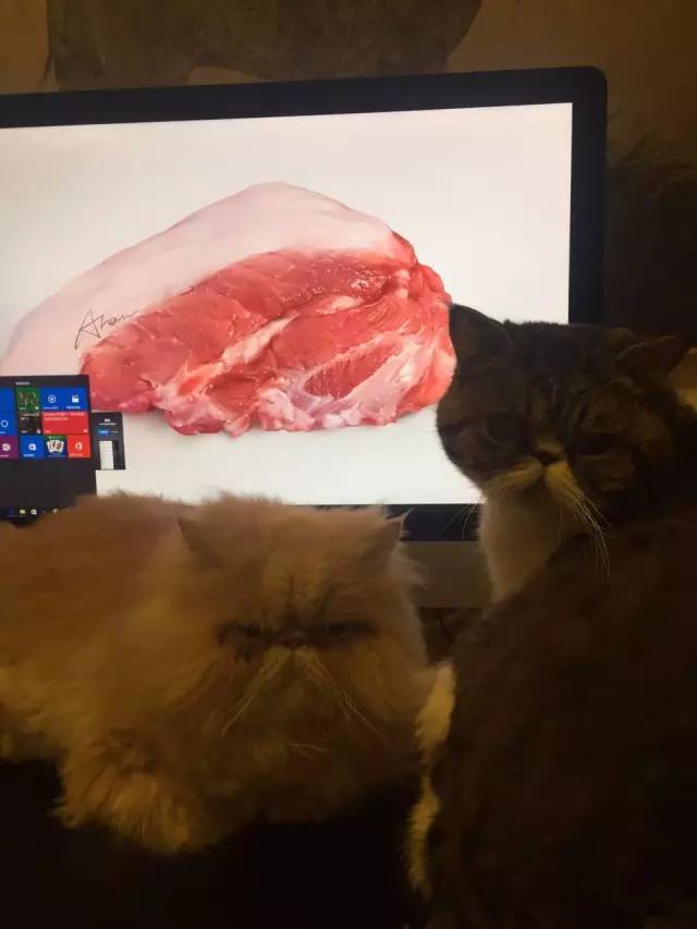 圖片來源:都市快報