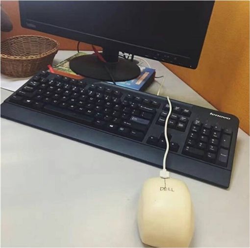 圖片來源：檸橗小妹愛糖果Sally／微博