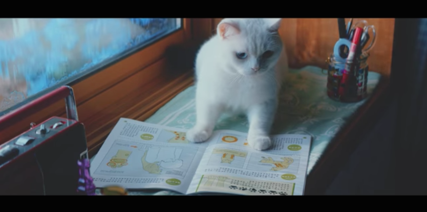 圖片來源：ユーキャン CMギャラリー／YouTube