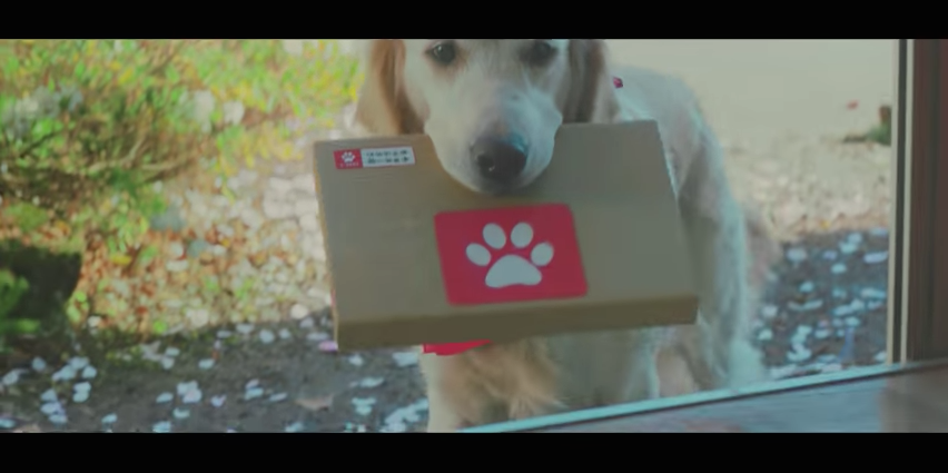 圖片來源：ユーキャン CMギャラリー／YouTube